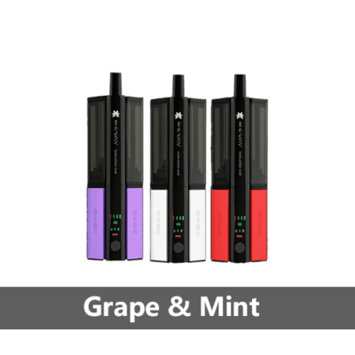 Hayati Pro Ultra Plus Shisha 30000 Puffs – Grape & Mint